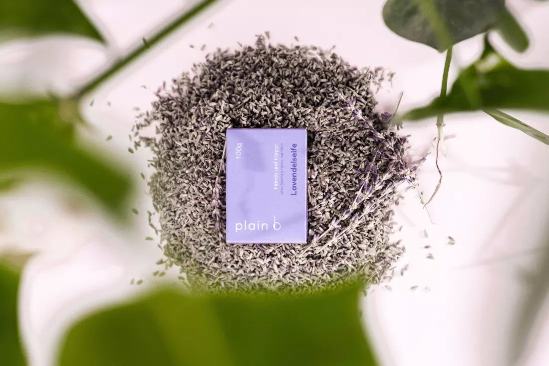 There is a plain b lavender soap in its purple folding box on a small pile of lavender flowers surrounded by green leaves.