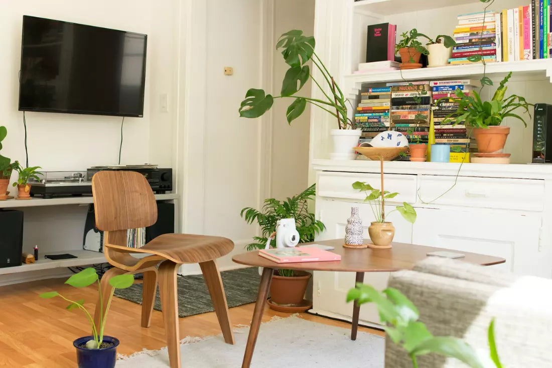 Living room with favorite furniture and plants