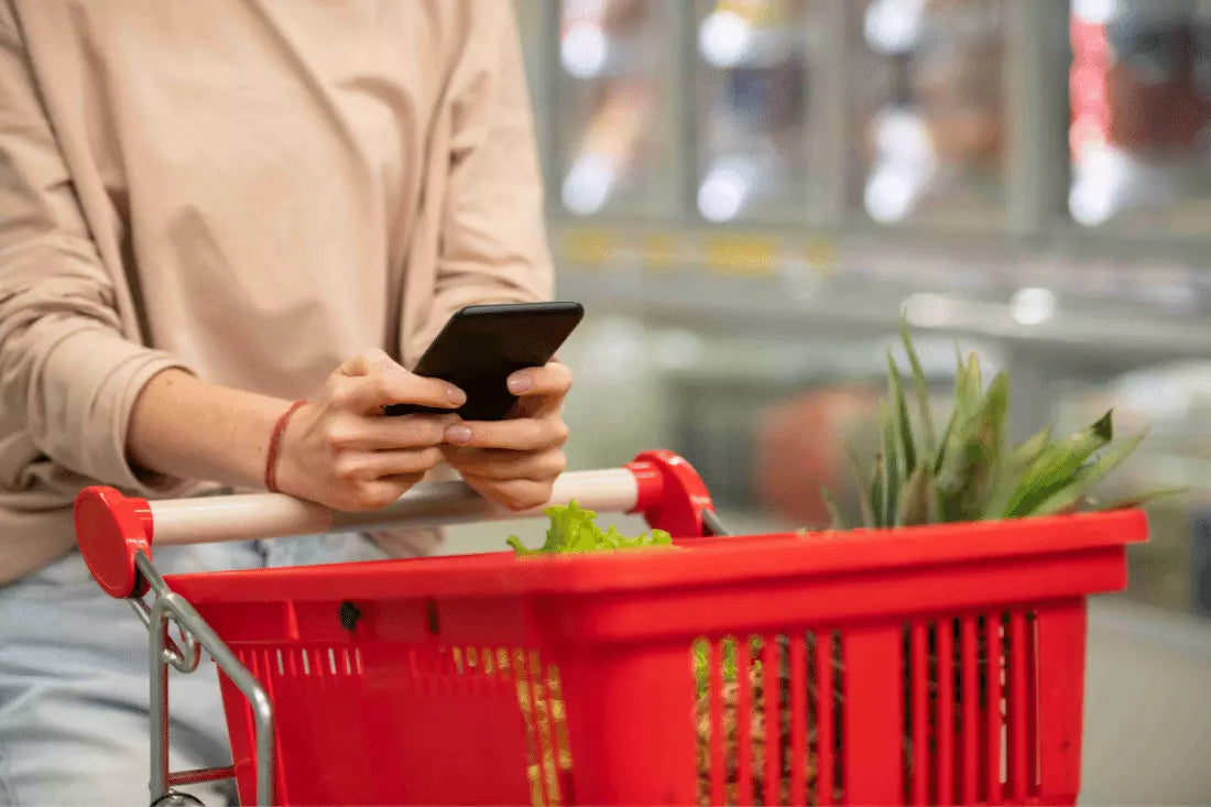 Shopping cart with purchases