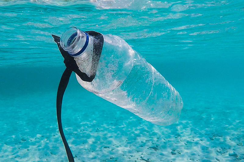 Plastikflasche im Wasser