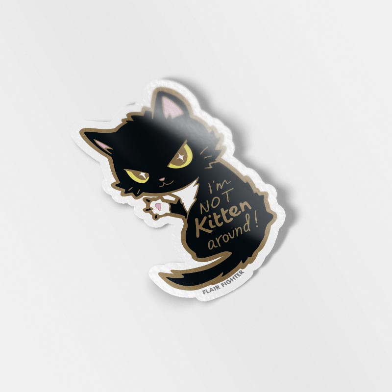 Black cat feather Sticker – VulgrCo