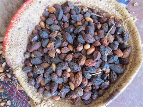 Argan Nuts