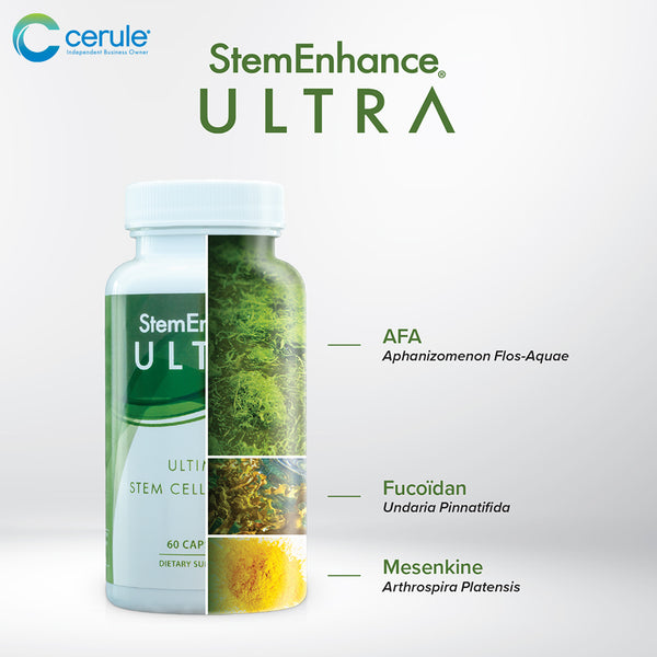 StemEnhance Ultra Ingredients