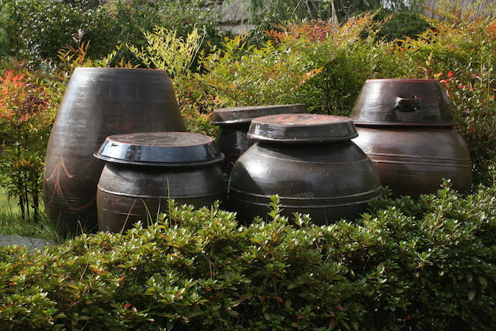 Fermenting vessels for kimchi