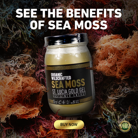 Rejuvenate Your Skin with St Lucia Gold Sea Moss Gel – Buy Now! – HOLISTIC  VYBEZ