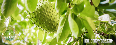 Soursop powder