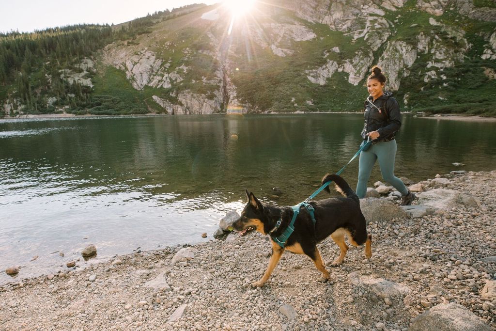 Landmark | Ruffwear Front Range Harness in Tumalo Teal