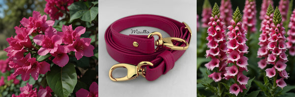 Photos of fuchsia flowers and purse strap, for fashion inspiration.