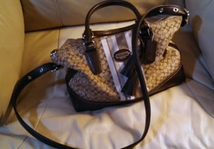 Silver-tone Chain Straps for Luxury/Designer Handbags, Purses & More –  Mautto