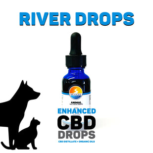 RIVERDROPS-SALMON-CBDFULLSPECTRUMEXTRACT_MCTOIL_FISHOIL_cb9f88b3-50ba-40d9-9b61-2c076842e921.png.webp__PID:01bb1ea1-864d-4809-9f7e-ea9c7d904c43