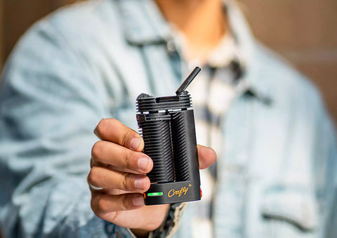 Storz & Bickel Crafty Plus Dry Herb Vapouriser is an example of a popular dry herb vape brand's signature product.