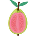 Guava Flavoured E-Liquid | Guava E-Juice | VapourOxide Australia