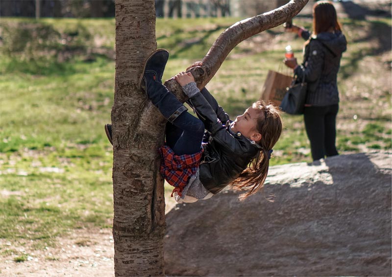 Young girl climbing a tree - mischievous. Hide your vape. 
