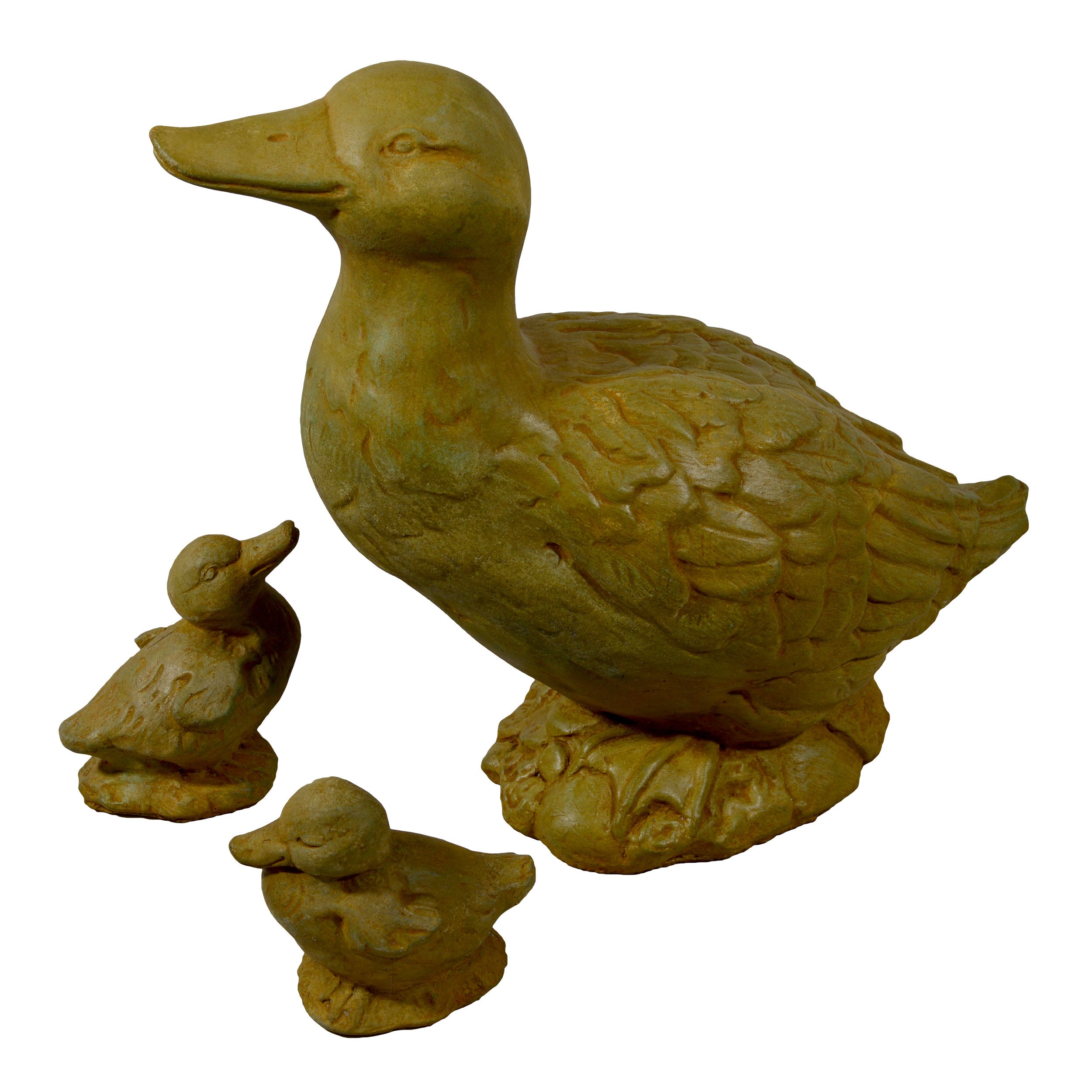 Duck and Ducklings