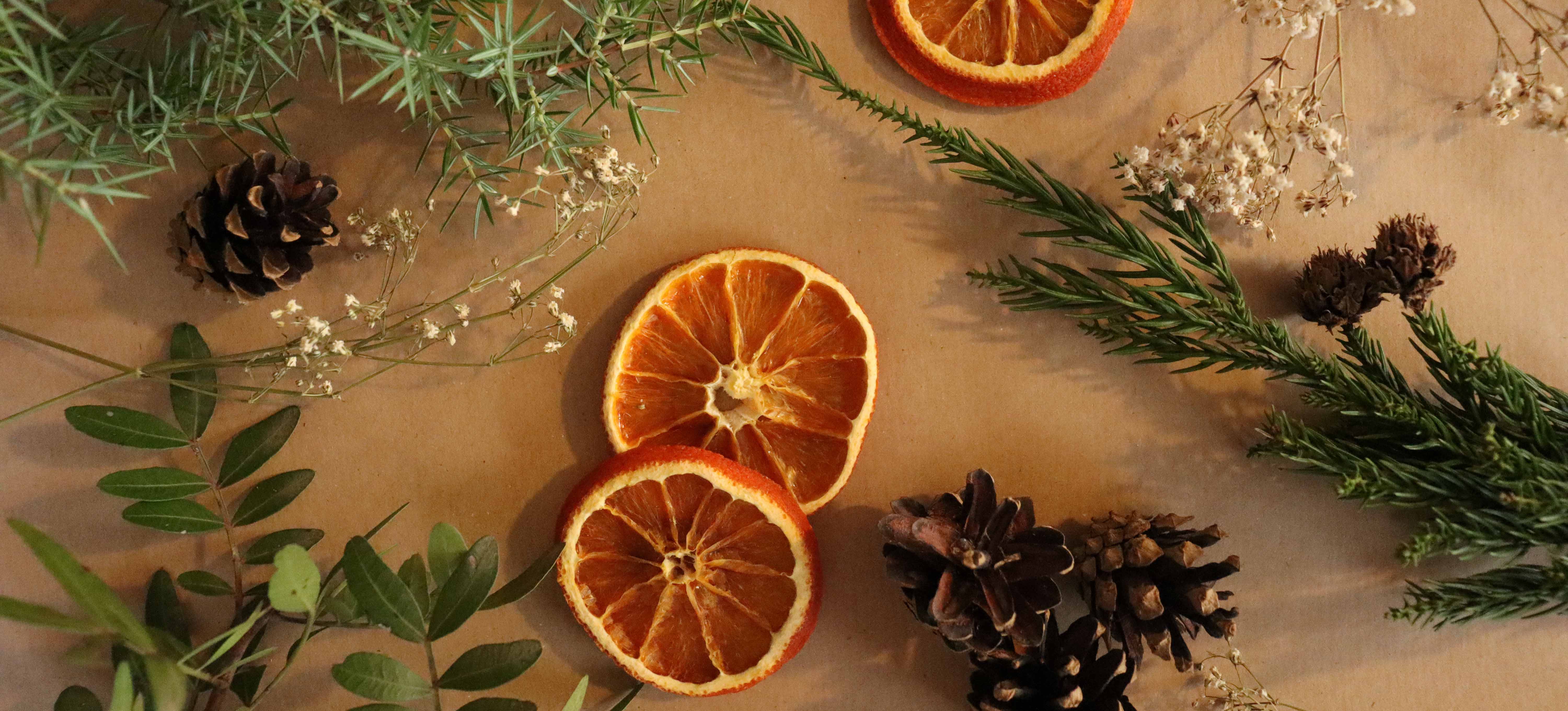 Weihnachtsschmuck: Getrocknete Orangen, Tannanzenzapfen und mehr