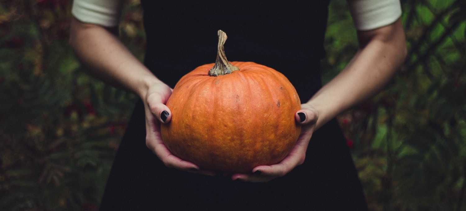 Halloween - Kein Horror für die Natur
