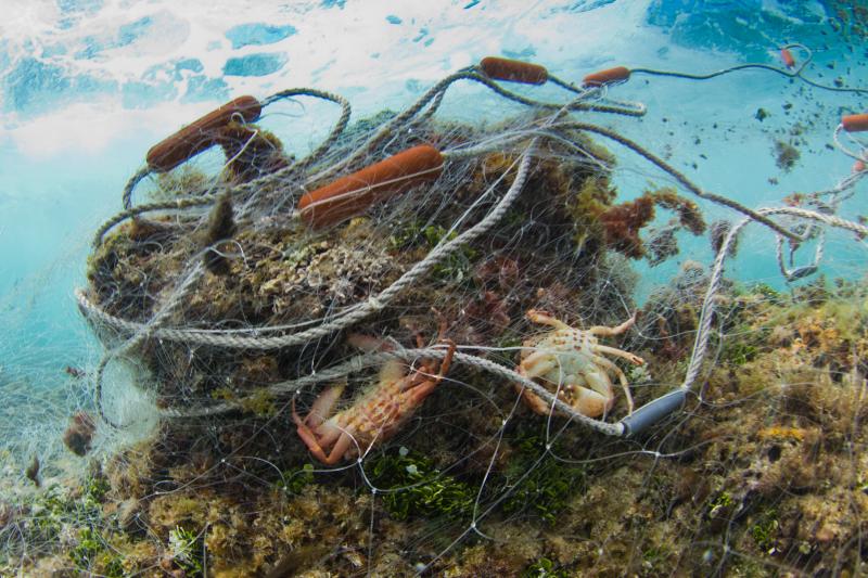 ghost nets overfishing