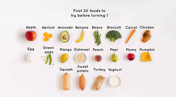 Image showing the first 20 foods to try when a baby starts weaning. The image includes apple, apricot, avocado, banana, broccoli, pear, carrot, egg, beans, mango, porridge, peach, sweet potato, yoghurt, butternut squash and pumpkin