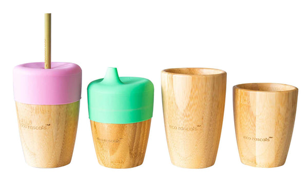 Bamboo Straw and Sippy Cup 