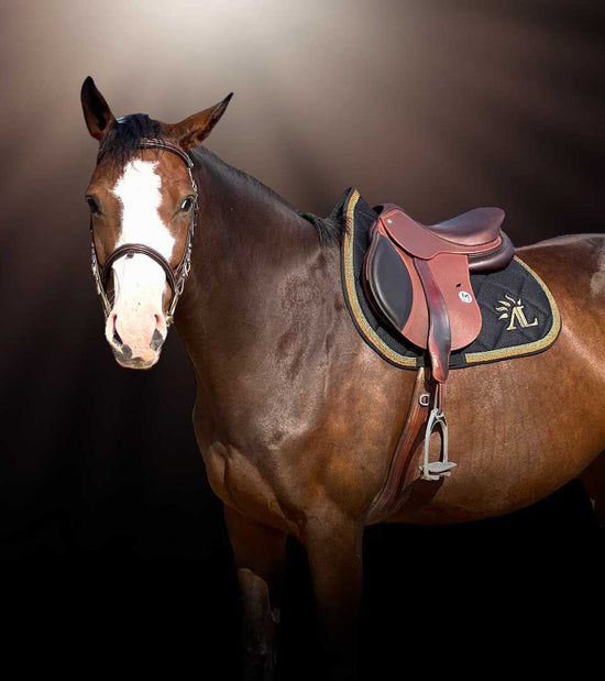 Guide d'achat : Comment choisir le tapis de selle idéal pour votre cheval ?