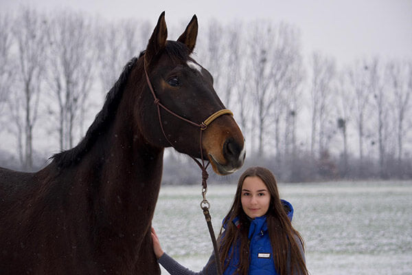 comment bien choisir licol poney al sportswear