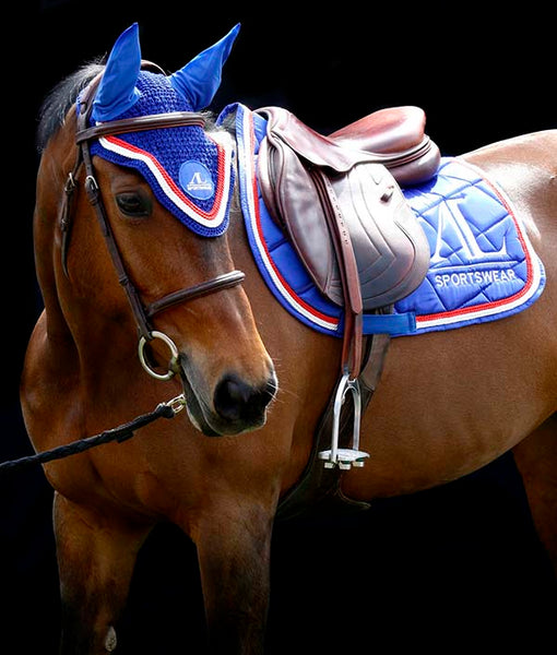 tapis de selle bleu roi cheval poney