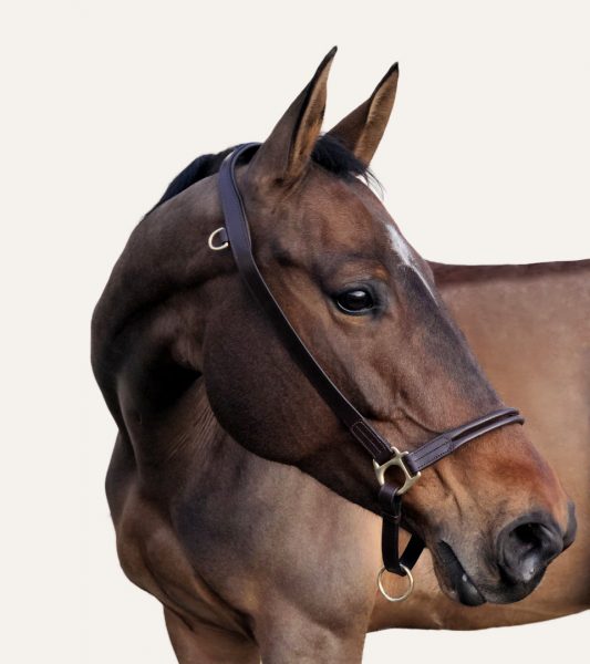 Licol éthologique cheval à n?uds - Waldhausen - WALDHAUSEN - Licols et  longes - Equestra