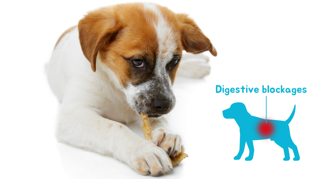 Rawhide can cause digestive blockages