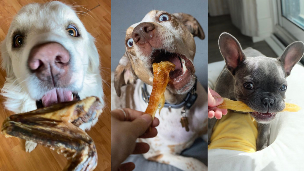 Dogs are eating Charmy Air-Dried Natural Dog Chew Treats