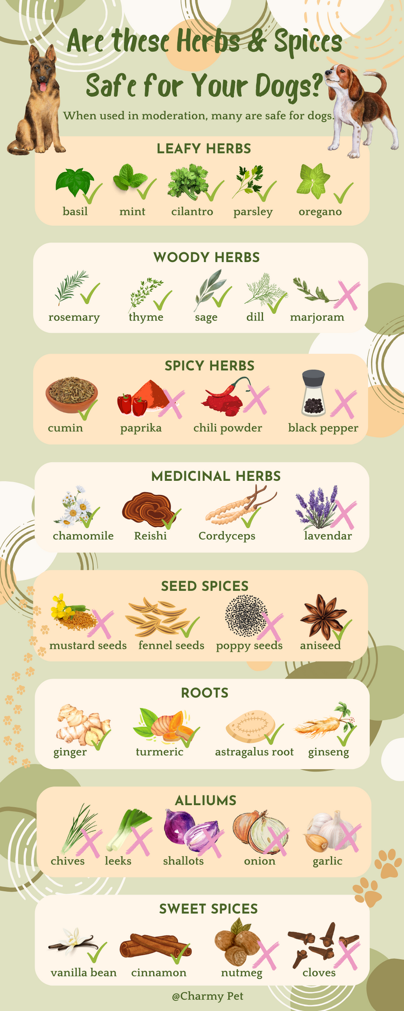 herbs and spices safety for dogs