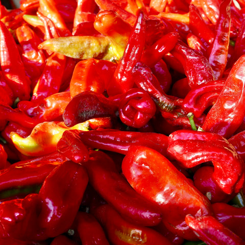 Senise peppers