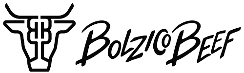 Bolzico Logo