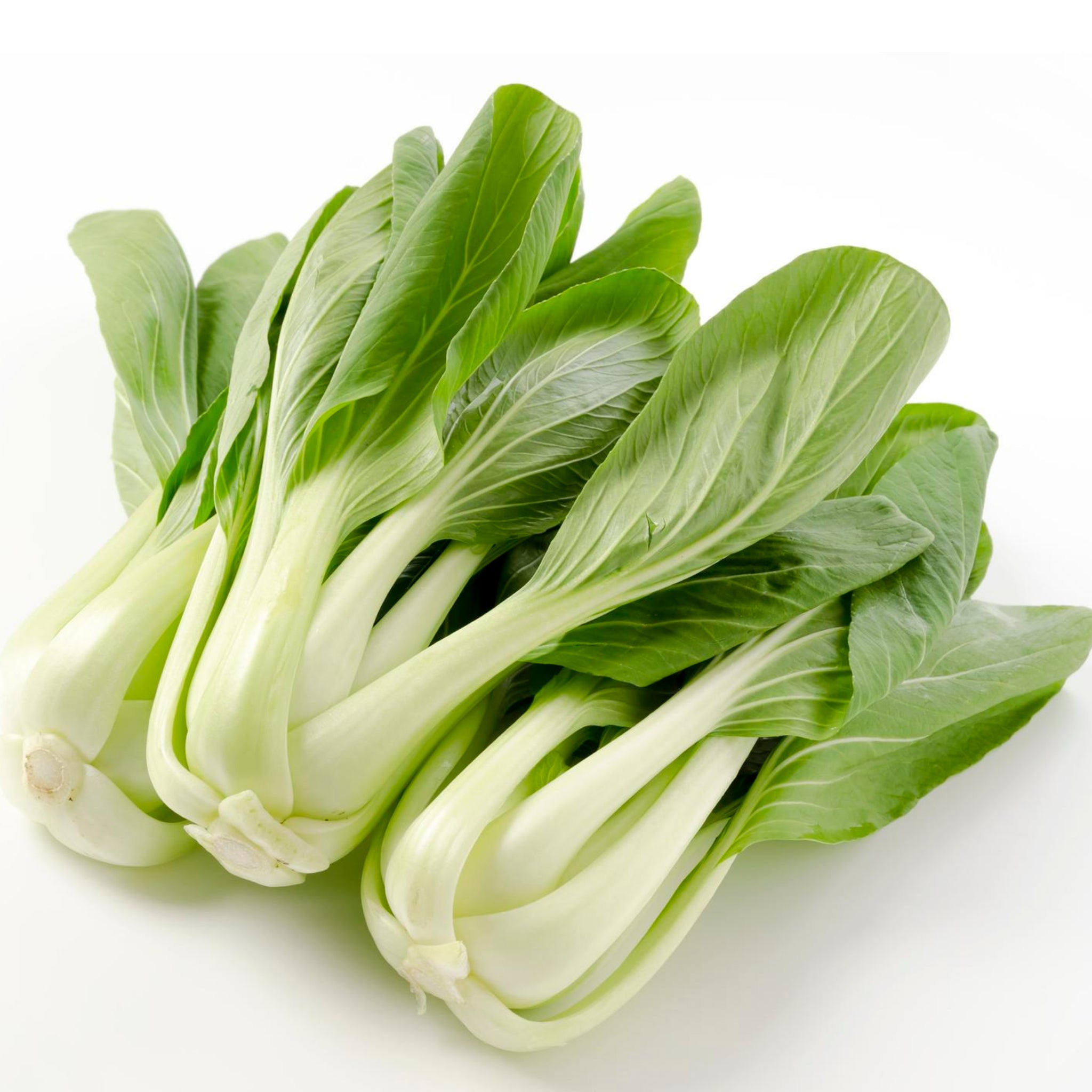 Pak Choi Seeds Organic Non Gmo Heirloom Seeds Vegetable Seed