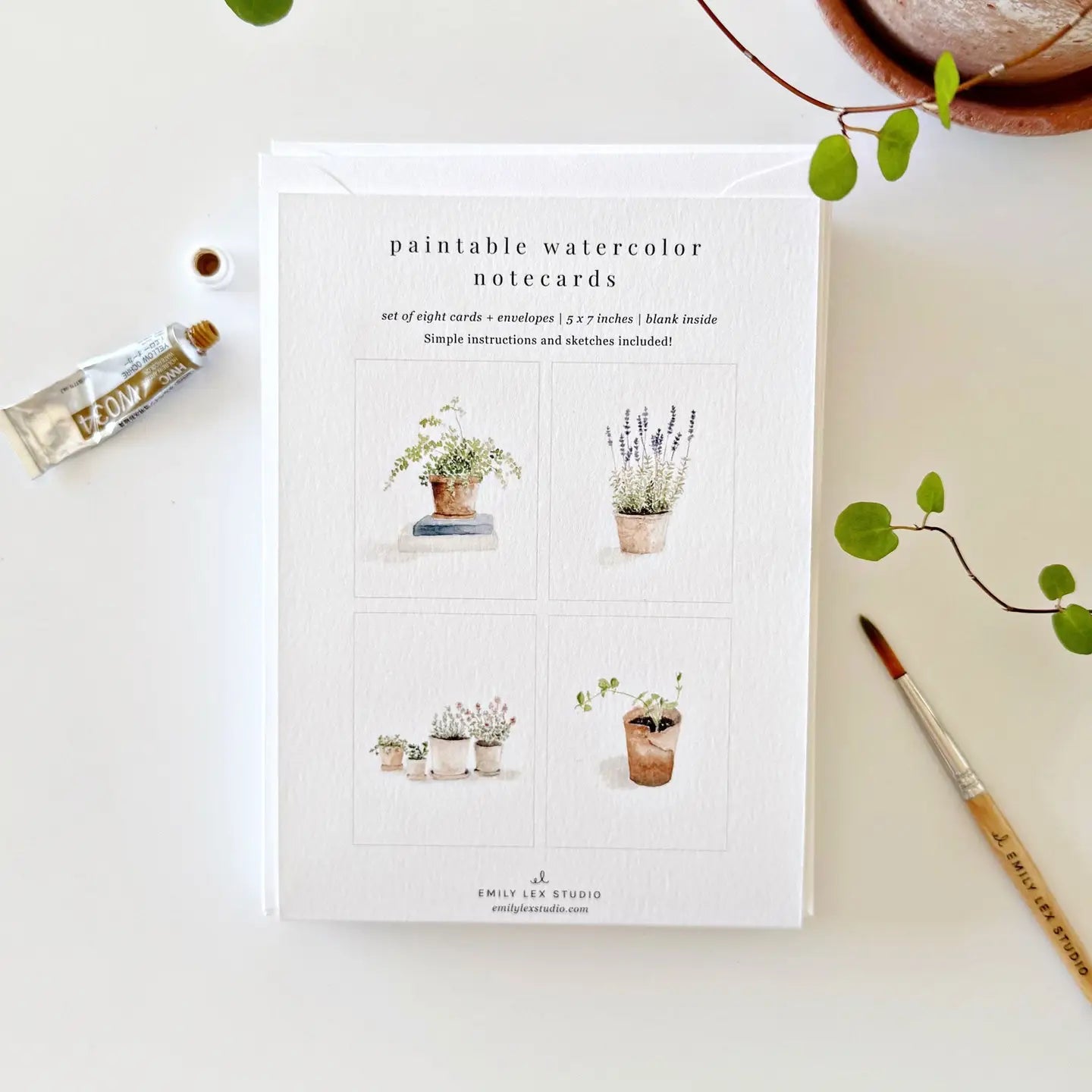 Paint Your Own Potted Plants Greeting Cards - Set of 8