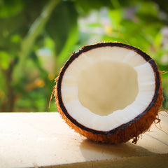 Coconut