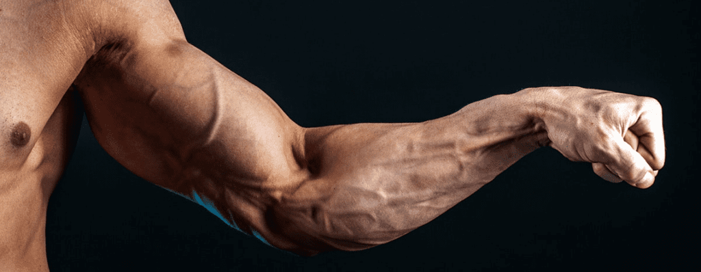 Les Meilleurs Exercices de Musculation pour les Avant-Bras