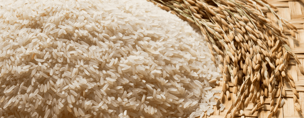 La crème de riz : le carburant idéal pour la musculation