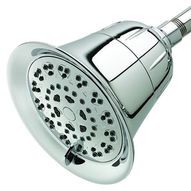 Chrome Wall Mount Shower Filter