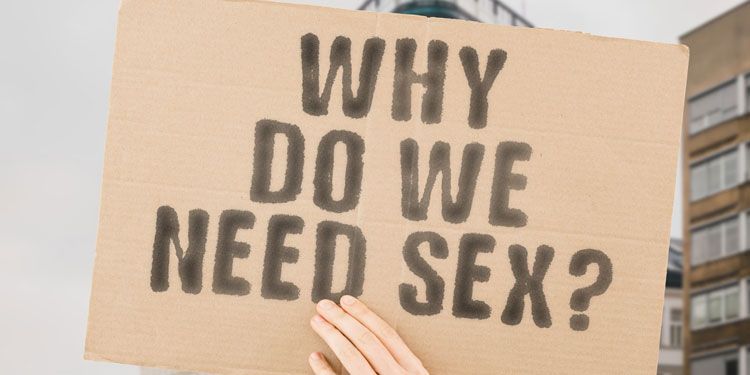 a cardboard sign that says, “why do we need sex?”