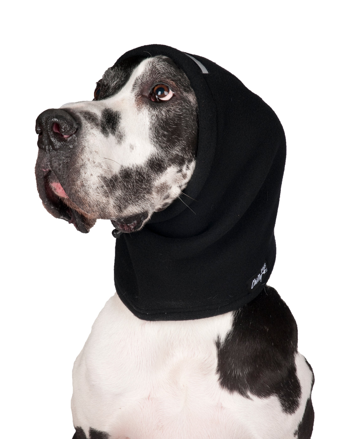 dog snood ear protector