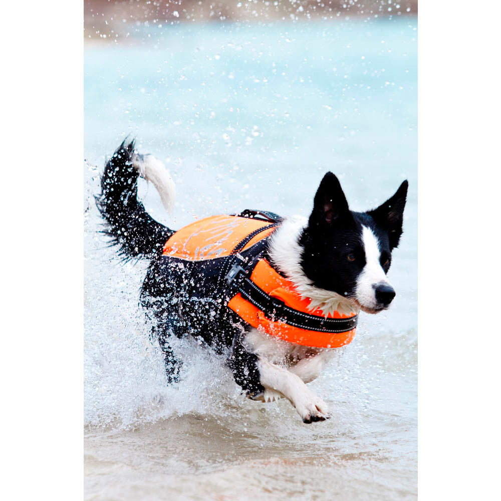 hurtta dog life jacket