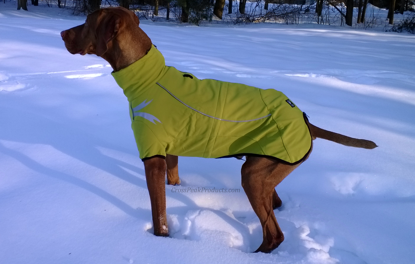 Hurtta Frost Dog Jacket \u0026 Winter Coat 