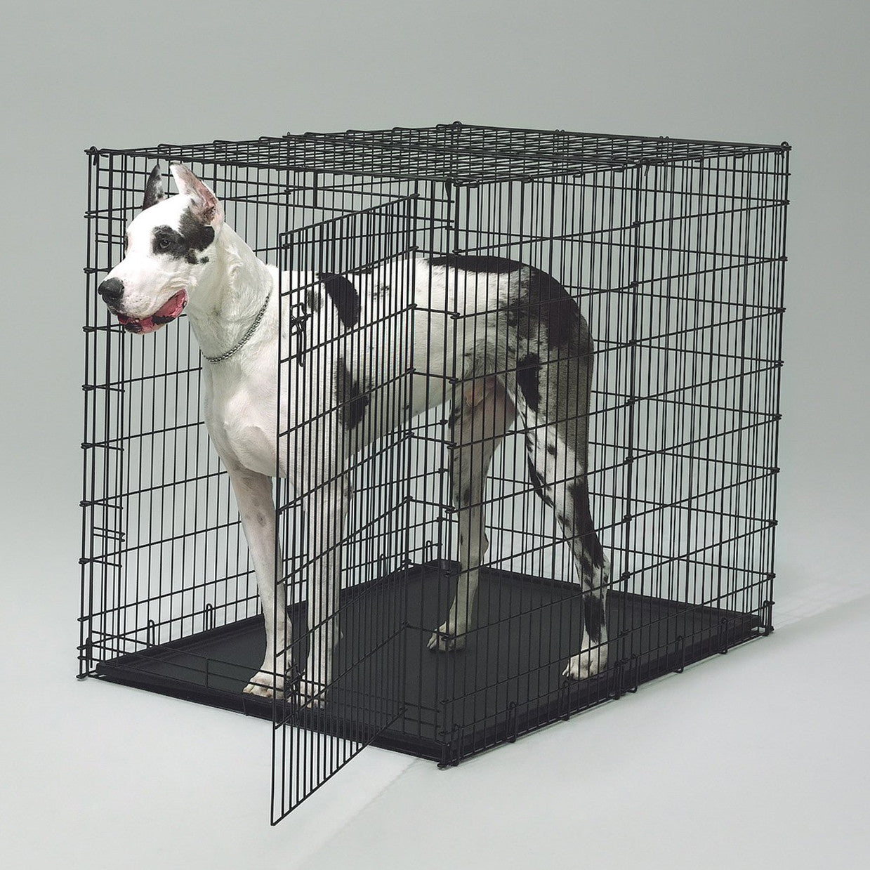 extra large wire dog kennel