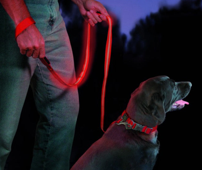 Pet Wearing Niteize NiteDawg Dog Leash for Night Safety