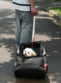 dog carriers for walking