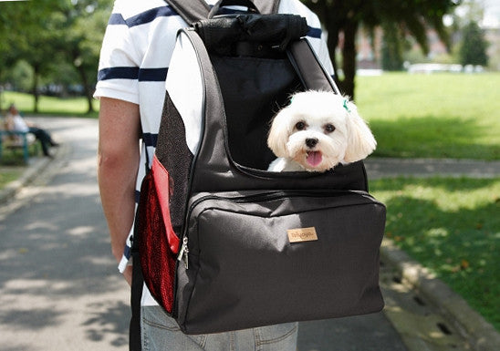 dog carrier for hiking