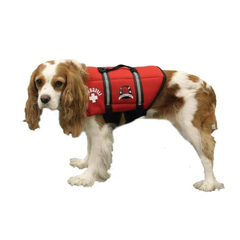 paws aboard neoprene doggy life jacket