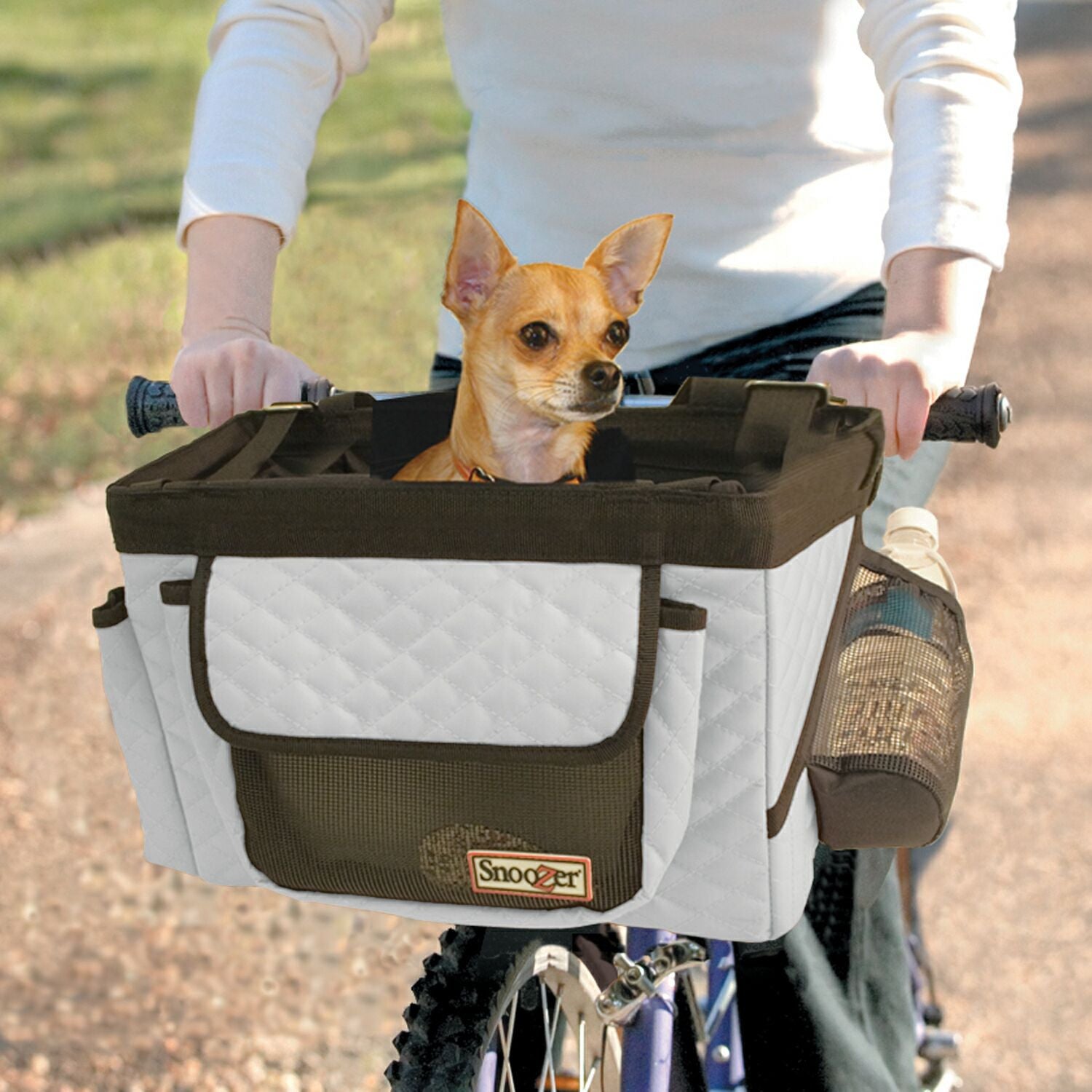 bike buddy dog carrier