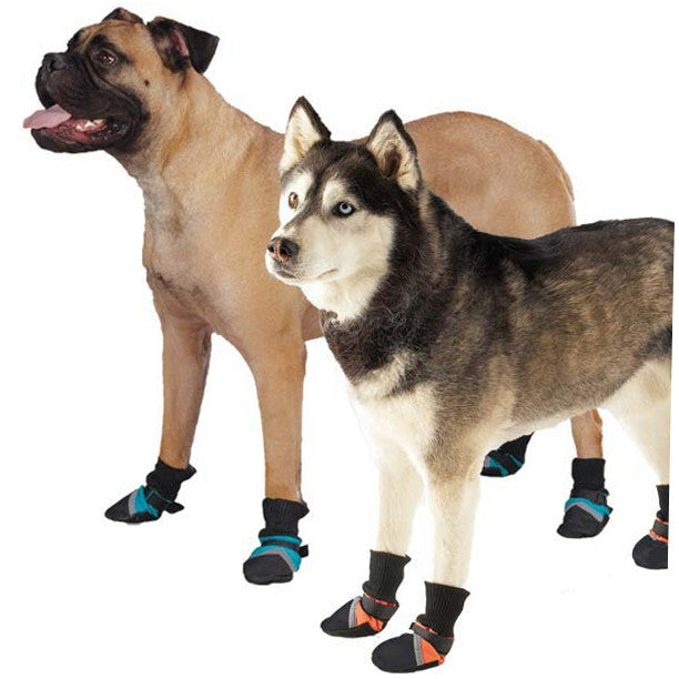 dog weather boots