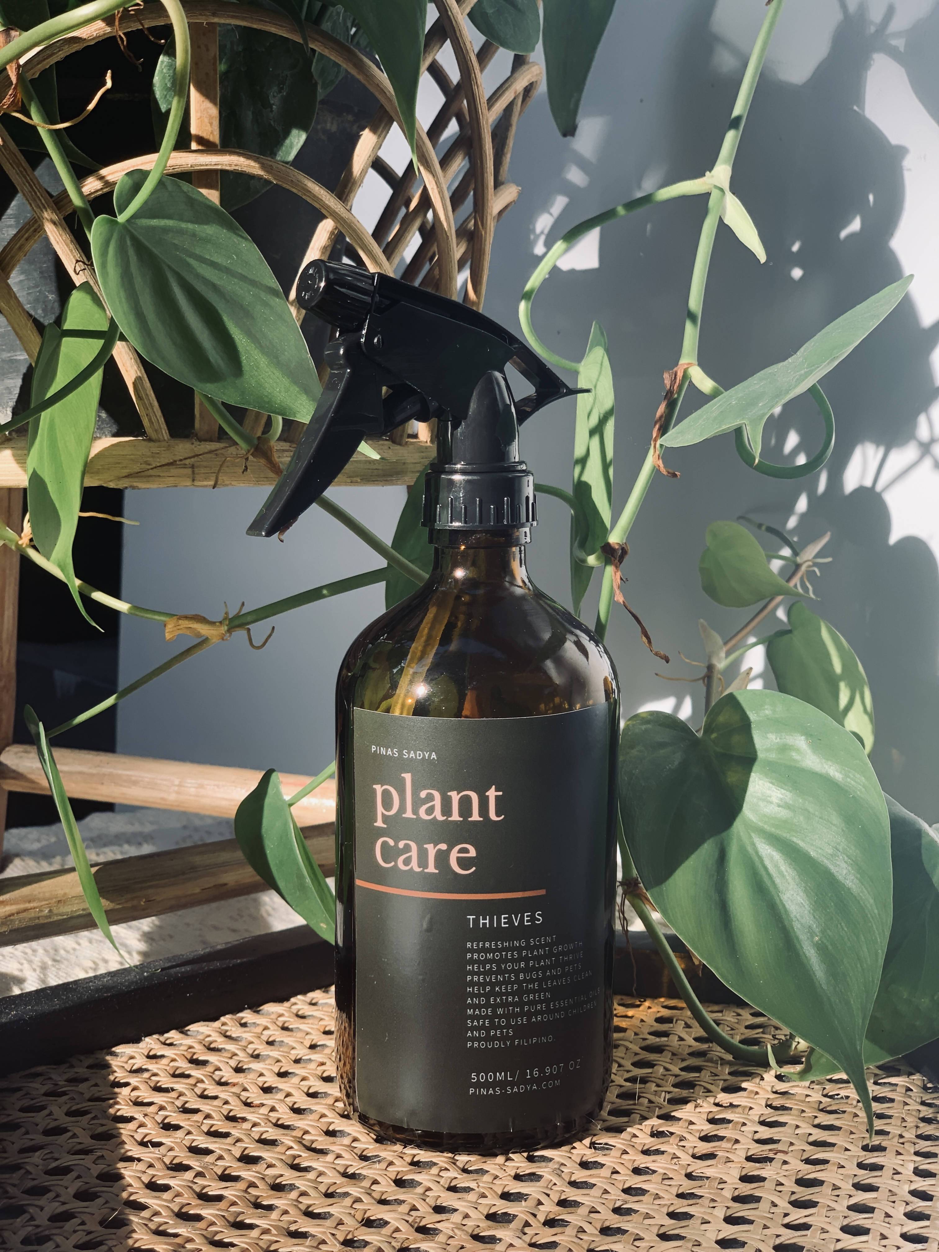 Plant Care Thieves Spray | 500ml Amber Glass Bottle | Shop Frankie ...